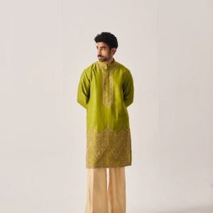 Vasant Olive Kurta Set